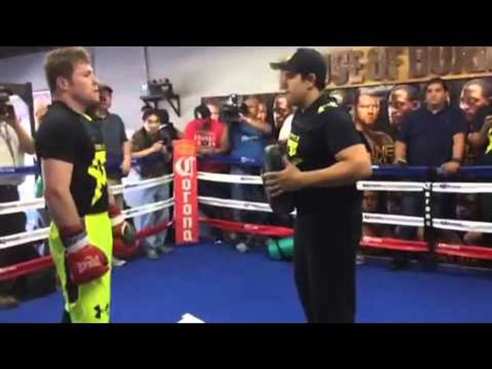 Canelo working out