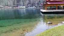 Shangrila Resorts Skardu Are you coming this... - Gilgit-Baltistan the Land of Beauty