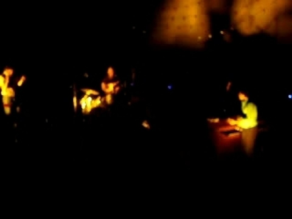 Feist - Sea Lion Woman (Live in Bordeaux)