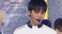 Show Champion EP.231 SEVENTEEN - Don't Wanna Cry