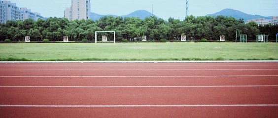 重生之龙族圣女 2017-1