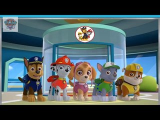 Nickelodeon Games to play online 2017 ♫PAW Patrol Academy♫ Kids Games