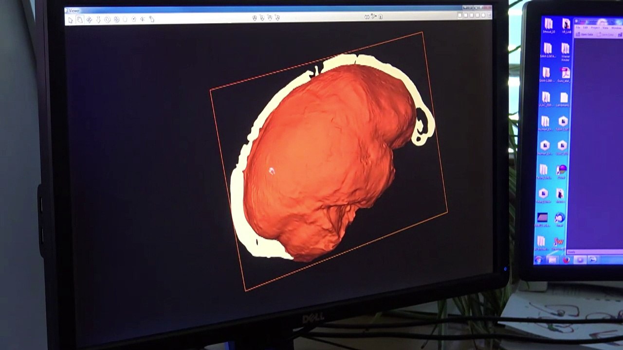 Homo sapiens é 100 mil anos mais velho do que se acreditava