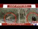 Watch: Bear scares off Tiger at Nagarhole National Park