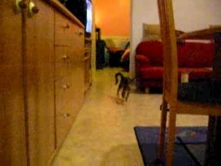 crapule avec sa peluche 2