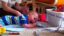 Funny Babies Laughing at Cats werwerats Loves B