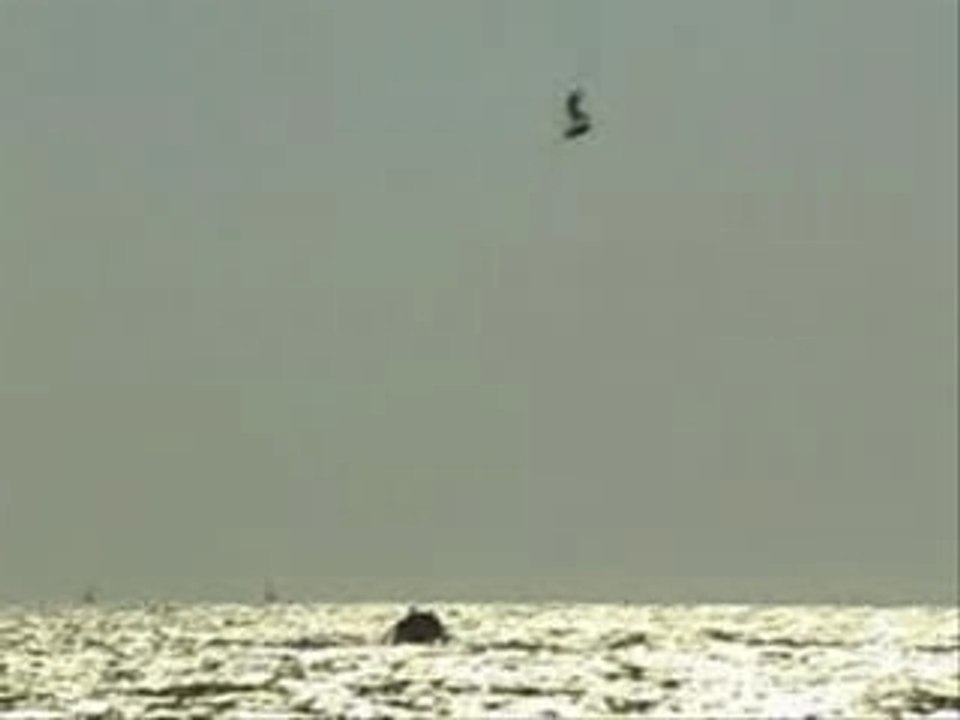 Boat track