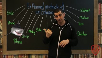 15 Types of Entrepreneurs in the Animal Kingdom 🦁