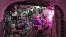 Veggies in Space Astronauts Sample Freshly Grown Lettuce