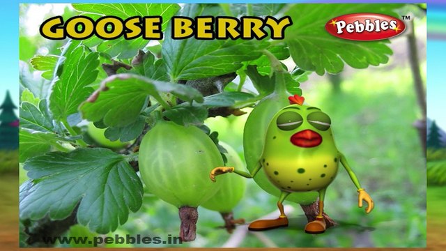 Goose Berry | 3D animated nursery rhymes for kids with lyrics | popular Fruits rhyme for kids | Goose berry song | Fruits songs | Funny rhymes for kids | cartoon | 3D animation | Top rhymes of fruits for children