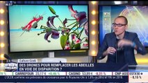 Anthony Morel: Des mini drones qui remplaceront les abeilles - 08/06