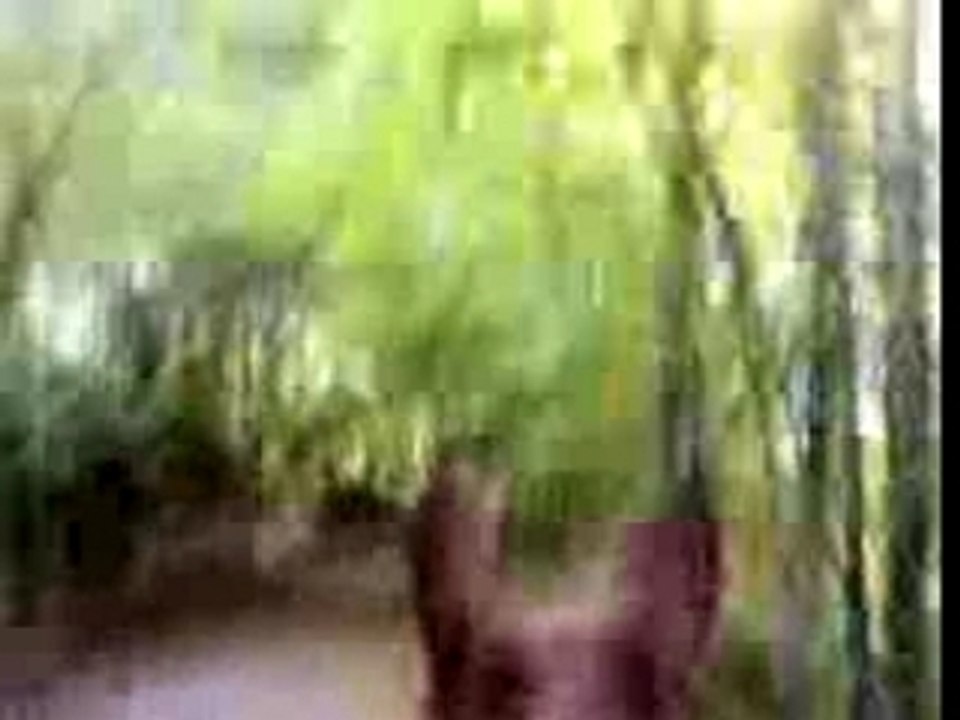 14102007038