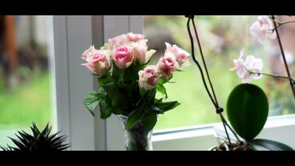 Przygotowania Kasia i Sylwek