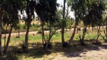 Kallar kahar Pakistan and its surroundings via M2 Video 4