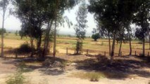 Kallar kahar Pakistan and its surroundings via M2 Video 9