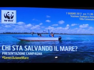 Mediterraneo in pericolo, Wwf lancia #GenerAzioneMare (07.06.17)