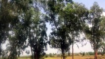 Kallar kahar Pakistan and its surroundings via M2 Video 12