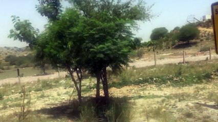 Kallar kahar Pakistan and its surroundings via M2 Video 14