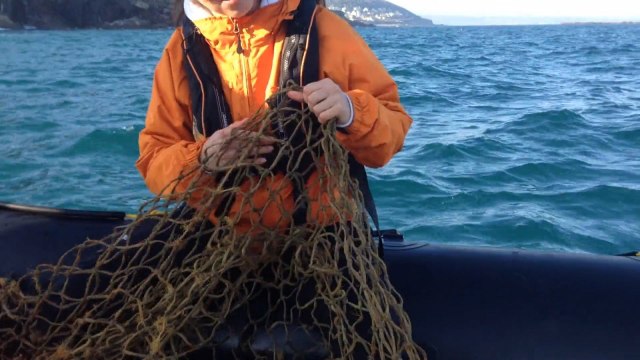 World Oceans Day 2017: There is a ghostly killer haunting our oceans