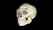 El Homo sapiens tiene cien mil años más de lo que se pensaba