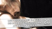 Yvelines: L214 diffuse des images de l'abattoir d'Houdan, avant un procès