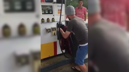 Ils découvrent un serpent dans une borne à essence