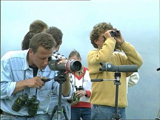 Protéger et soigner les oiseaux