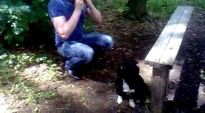 Mızıka Eşliğinde Şarkı Söyleyen Köpek