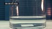 Distilled water experiment