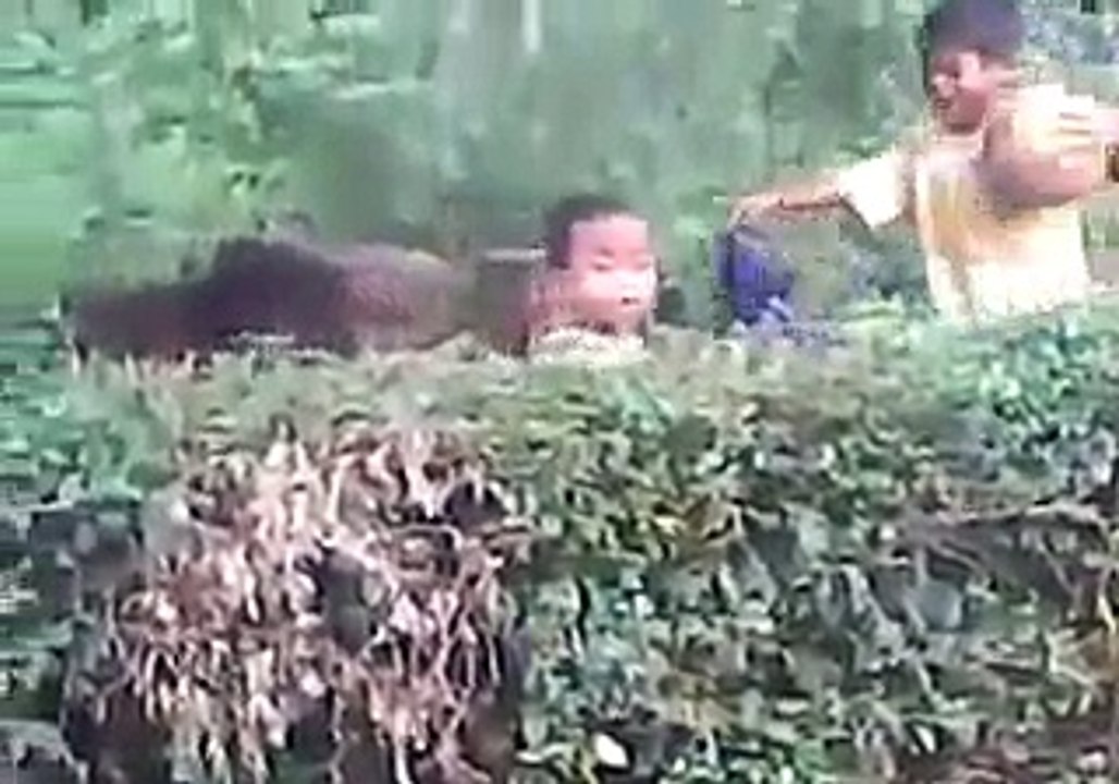 LITTLE BOY VS DOG FUNNY