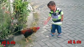 kid will make you laugh so hard when the rooster kick him