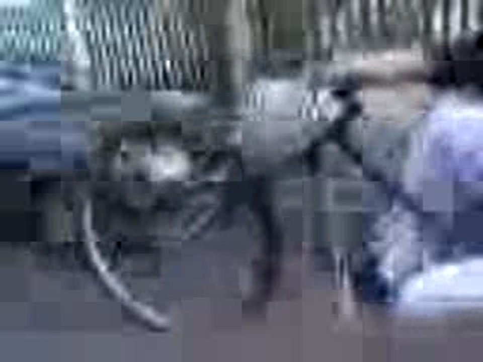 En roue