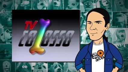 TV Colosso Um programa Bom pra Cachorro