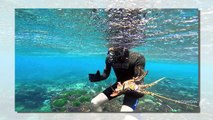 Tail Grabber – Well Known Online Website to Buy Scuba Clothing