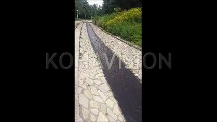 Përroska e parkut në kryeqytet është vërshuar nga ujërat e zeza