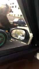 Un ours tranquillement installé dans un sidecar en Russie