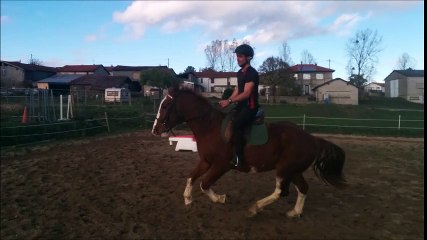 Dandy Monté: Rising Star in Music