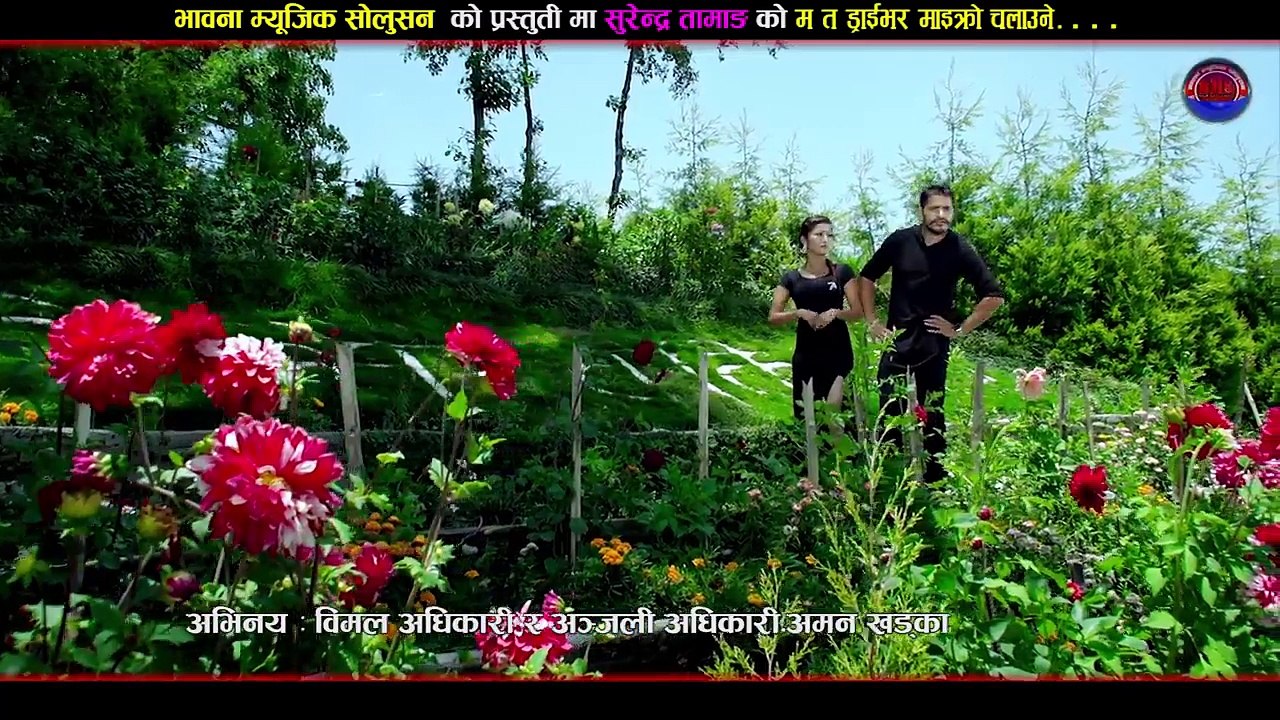 New Nepali Lok Dohori _ Ma Ta Driver - Surendra Tamang & Ashmita Sharma Subedi Ft. Bimal _ Anjali