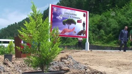 Jandarma "Şehitler Ormanı" Oluşturuldu