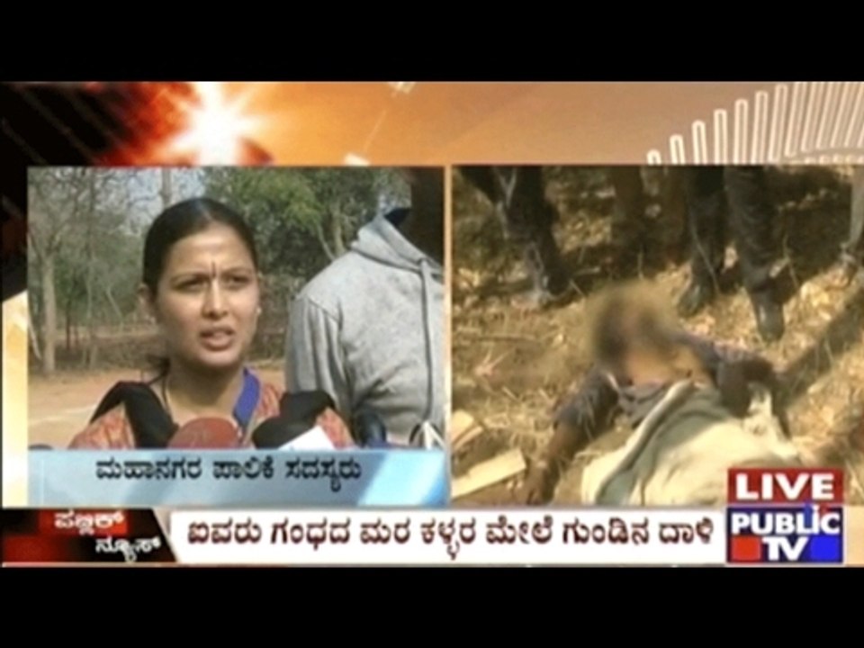 Mysore: Forest Guards Fire At Sandalwood Thieves, One Dead