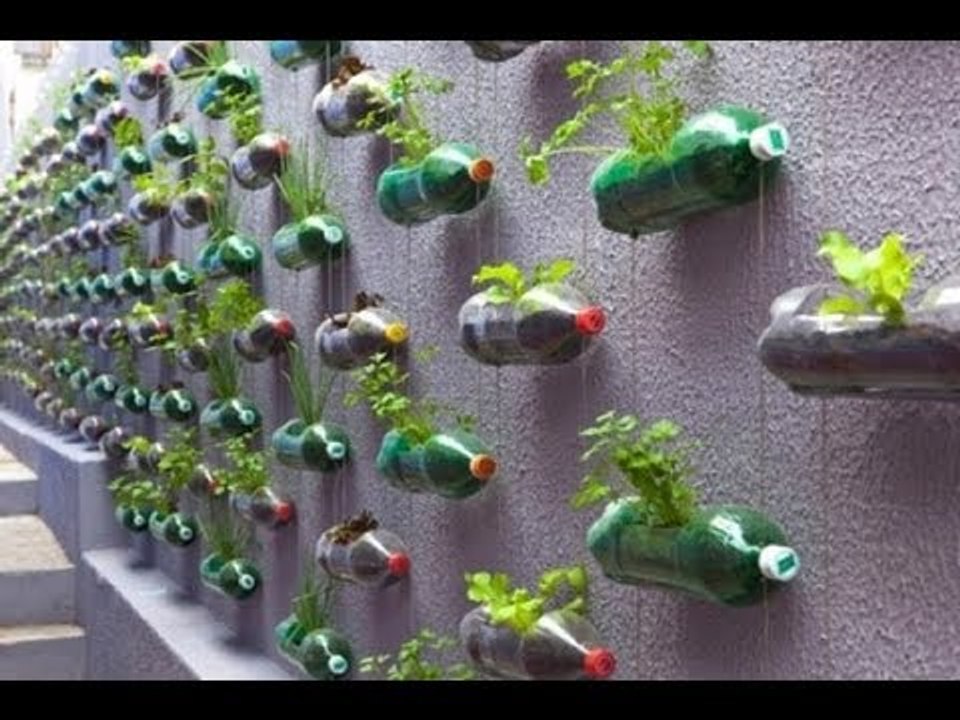 Increíbles macetas hechas de PET // Inventos utiles