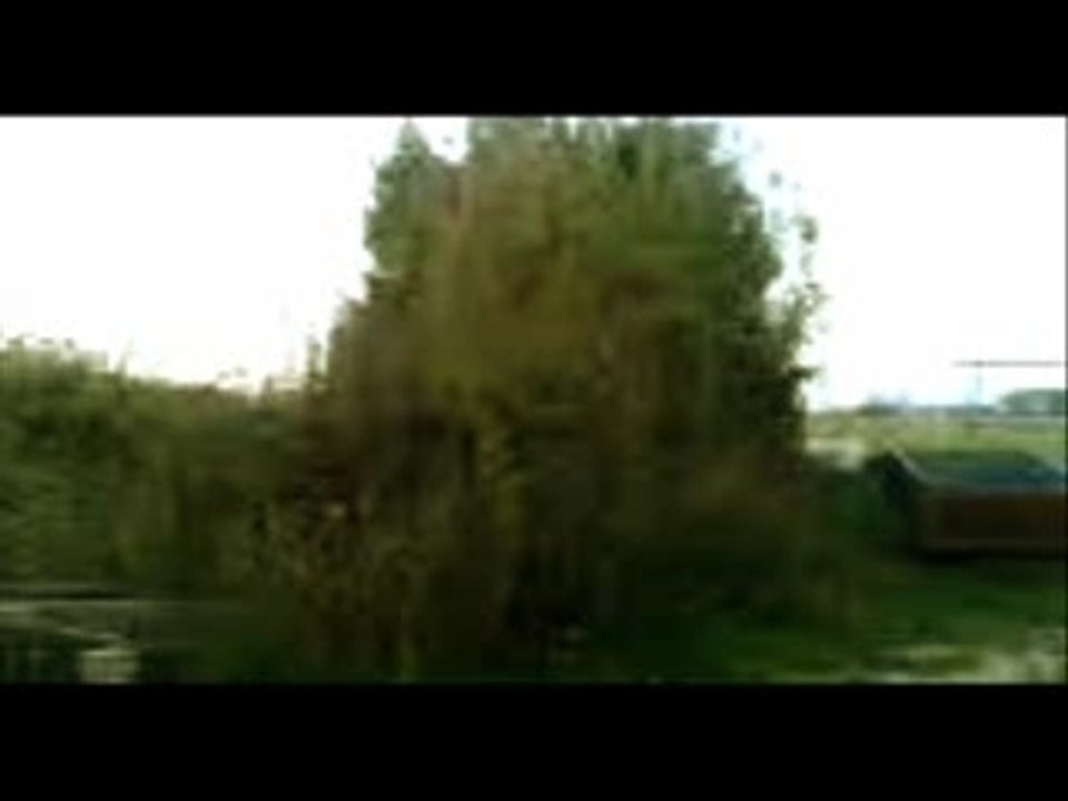 Explosion lune DBZ