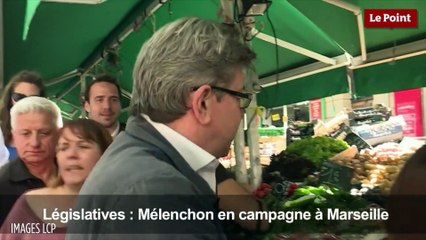 Législatives 2017 : Quel enjeu pour la France Insoumise ?