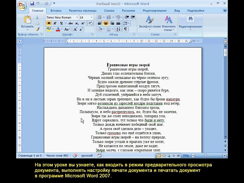 Урок 25. Предварительный просмотр и печать документа