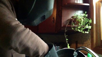 DON'T WATCH HAUNTED VIDEO OR ELSE YOU WILL DIE