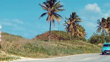 Esteli Roz - VIVE