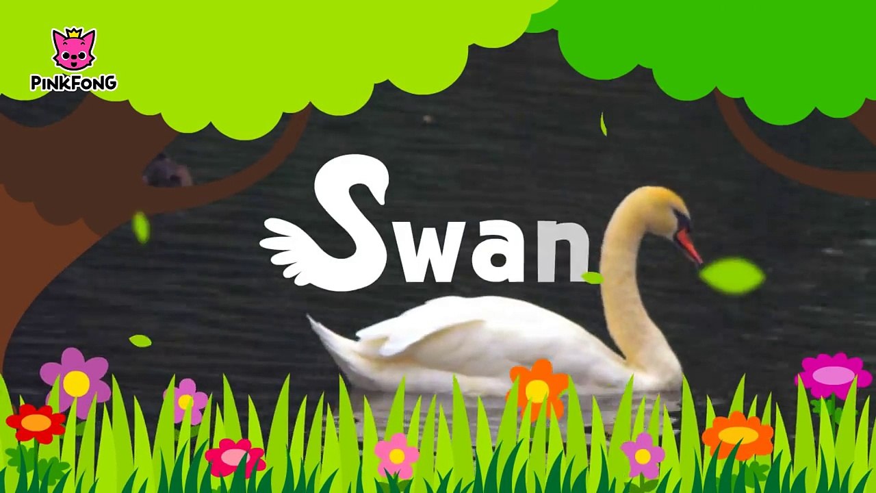 Swan _ Animal Songs _ Songs for Children