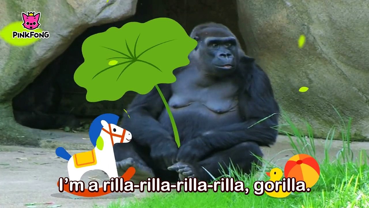 Boom Di Boom Di Gorilla _ Gorilla _ Animal Songs _ Songs for Children