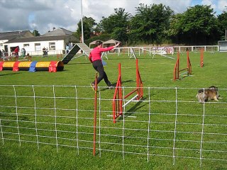 Caro Valognes Agility Standard