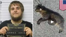 Teens arrested for killing cat they dragged behind SUV